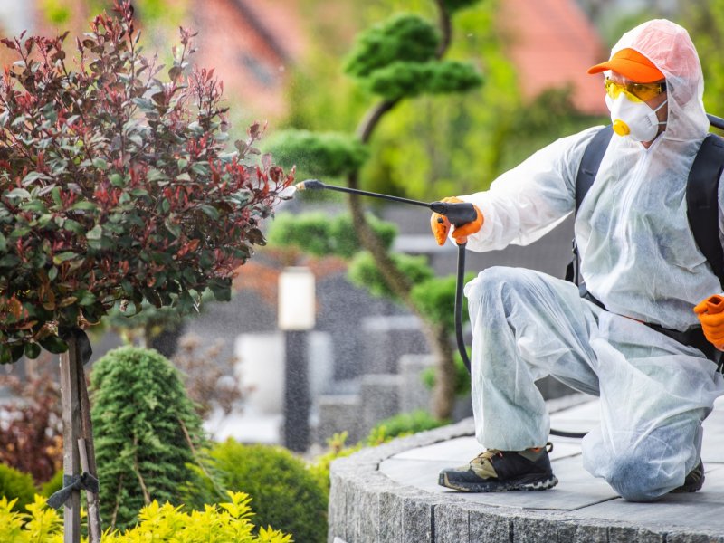 Yağcılar Haşere İlaçlama